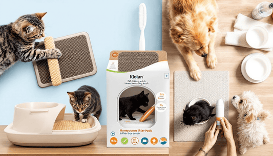 How to Choose the Best Dog Harness for Comfort, Safety, and Style: The Ultimate Guide for Pet Owners - Klolan