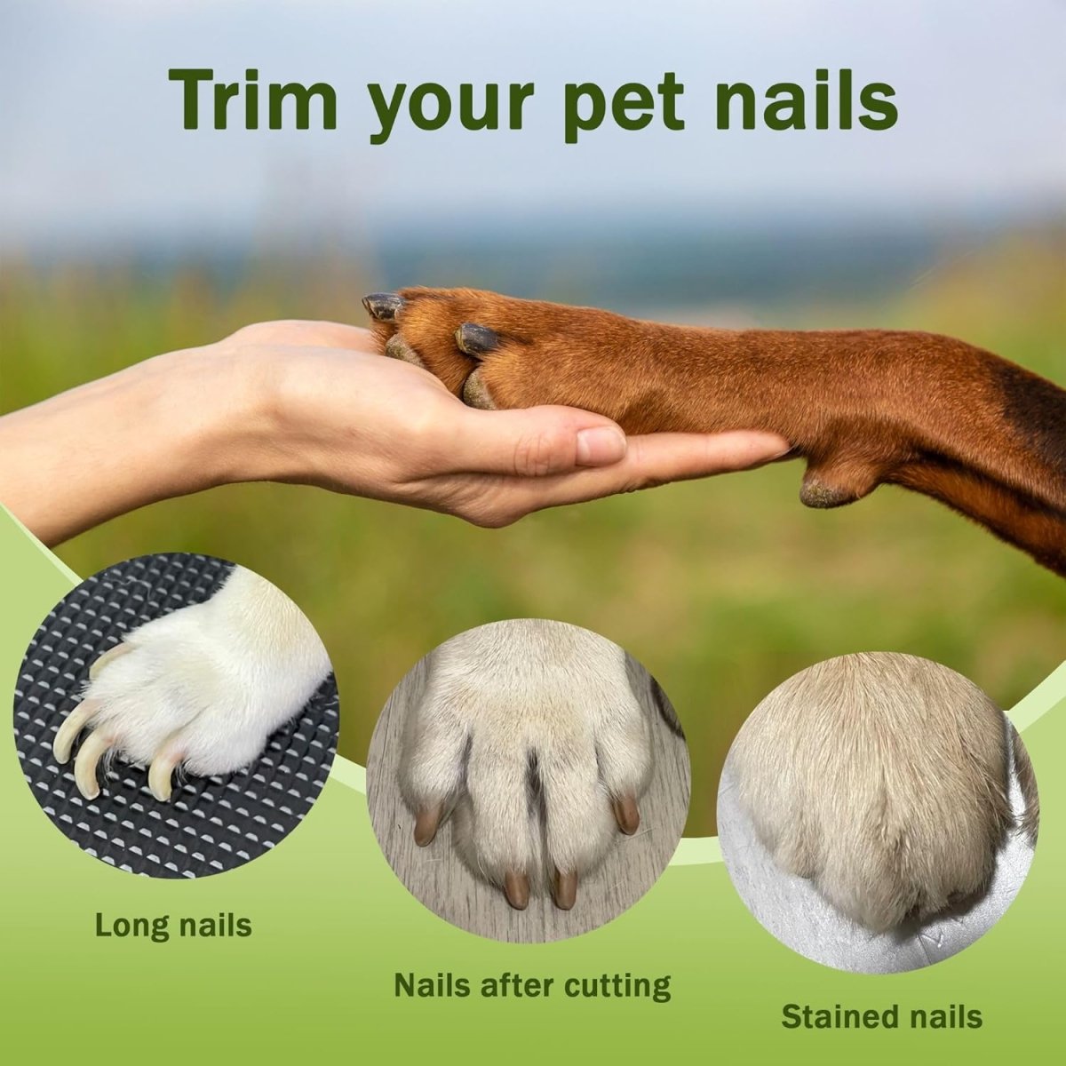 2 - in - 1 LED Pet Nail Clippers - Klolan