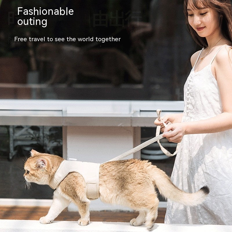 Cat Harness with Leash – No-Pull Chest Strap | Anti-Escape, Comfortable & Secure