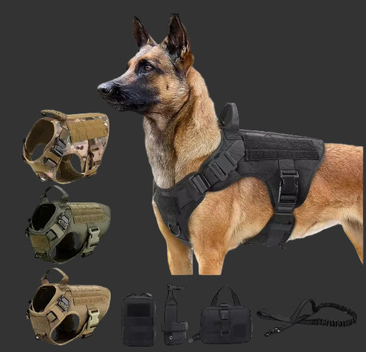 Luxury Camouflage Dog Harness & Leash Set