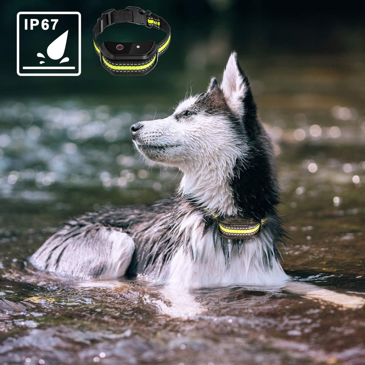 Adjustable Dog Bark Control Training Collar – Remote, Vibration & Shock - Klolan