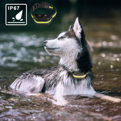 Adjustable Dog Bark Control Training Collar – Remote, Vibration & Shock - Klolan