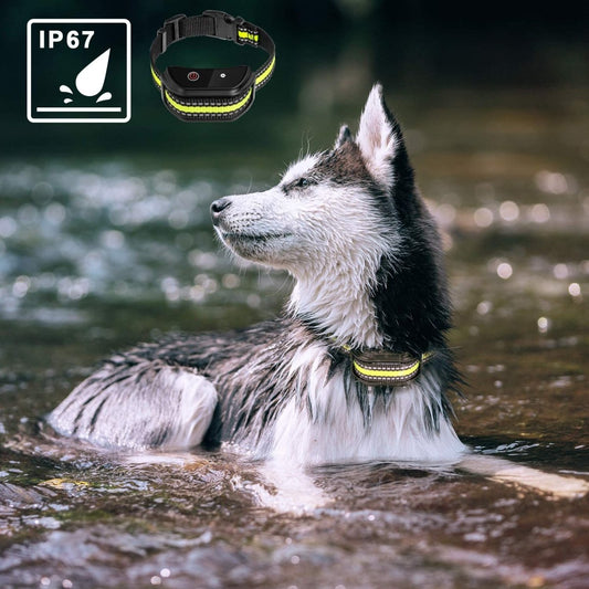 Adjustable Dog Bark Control Training Collar – Remote, Vibration & Shock - Klolan