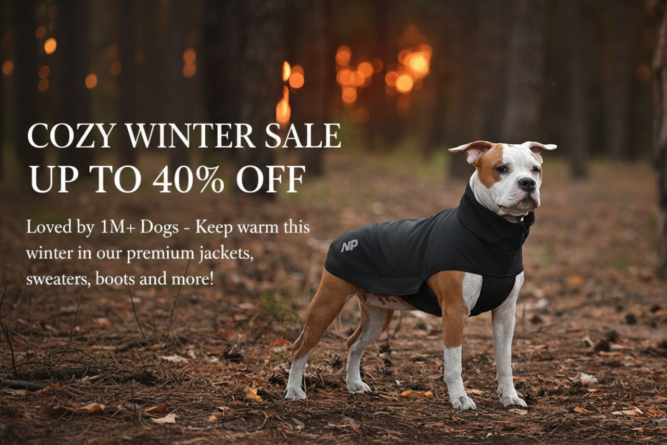 Cozy Winter Sale Compact Banner