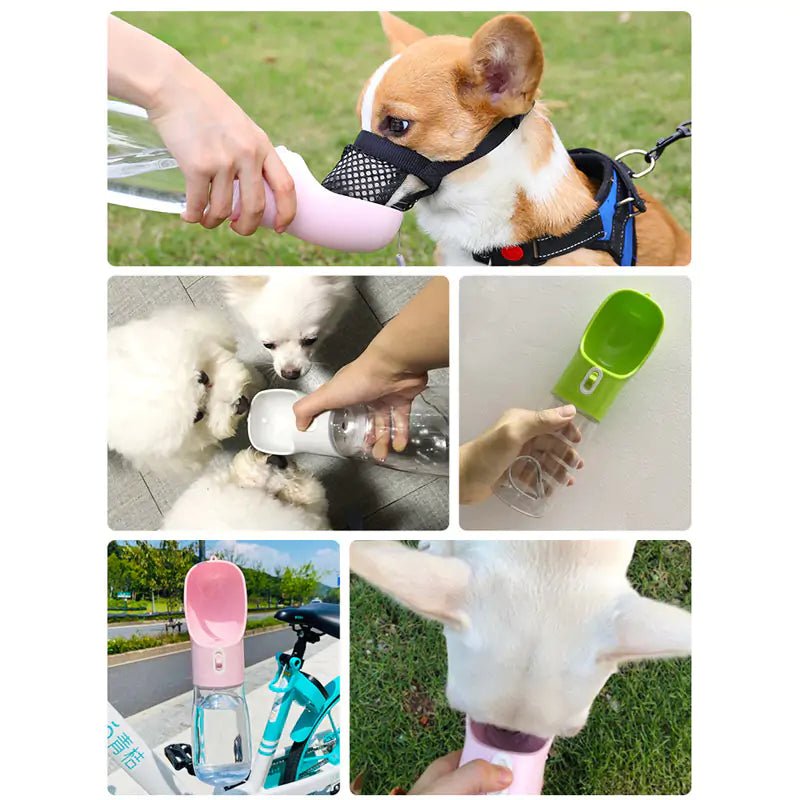 Pet Dog Water Bottle Feeder - Klolan