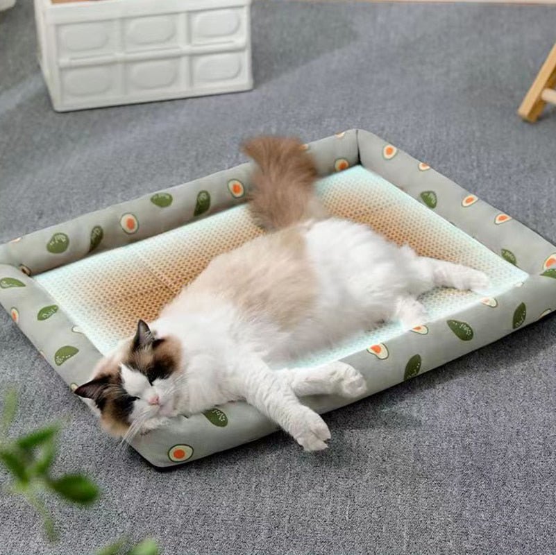 Pet Ice Pad Mat - Klolan