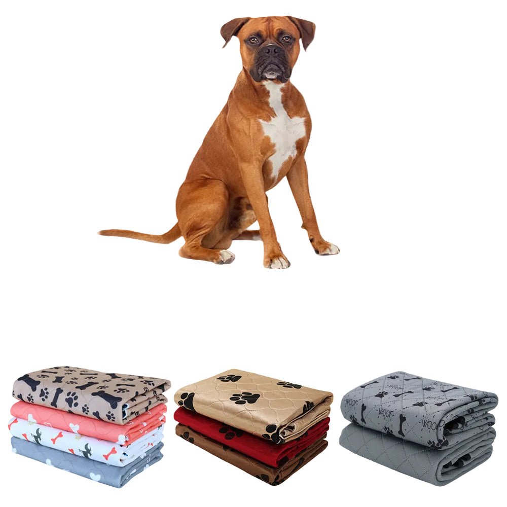 Pet Pee Pad - Klolan