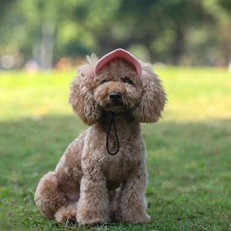 Pets Hat - Klolan