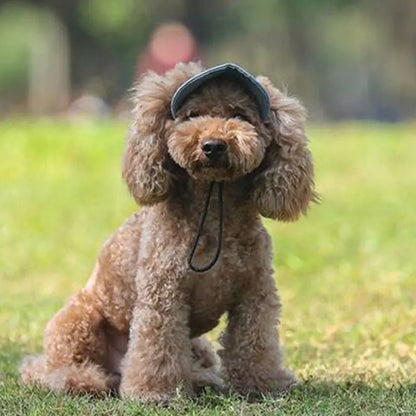 Pets Hat - Klolan